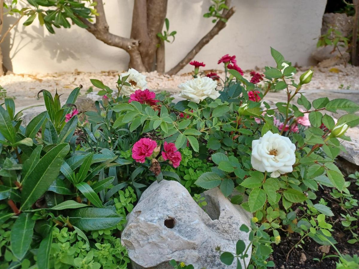 Apartmani Milena Barbat na Rabu Exterior photo